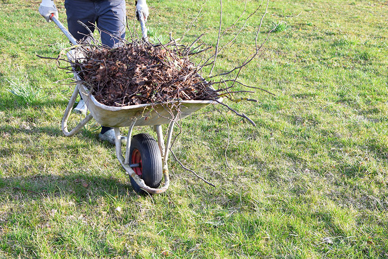 Brush Removal Service